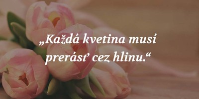 Najlepšie motivačné citáty na svete