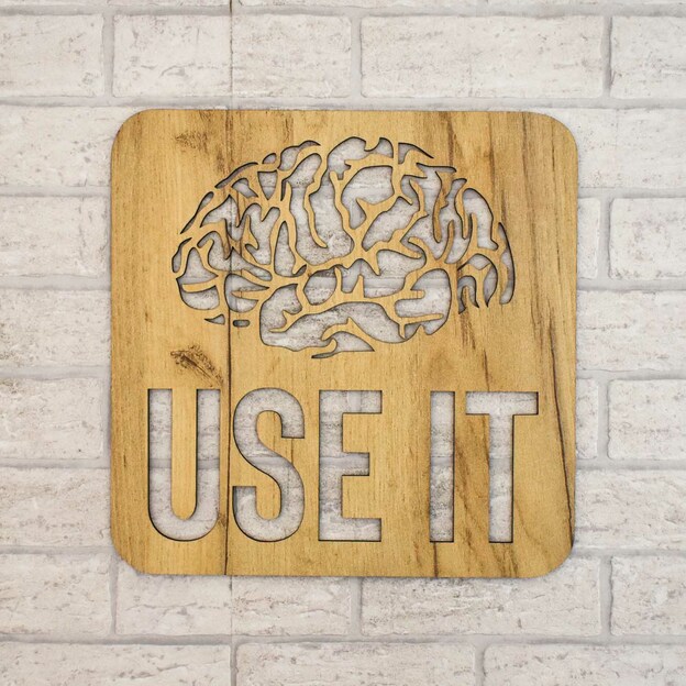 Funny Gift - Wooden Wall Art USE IT