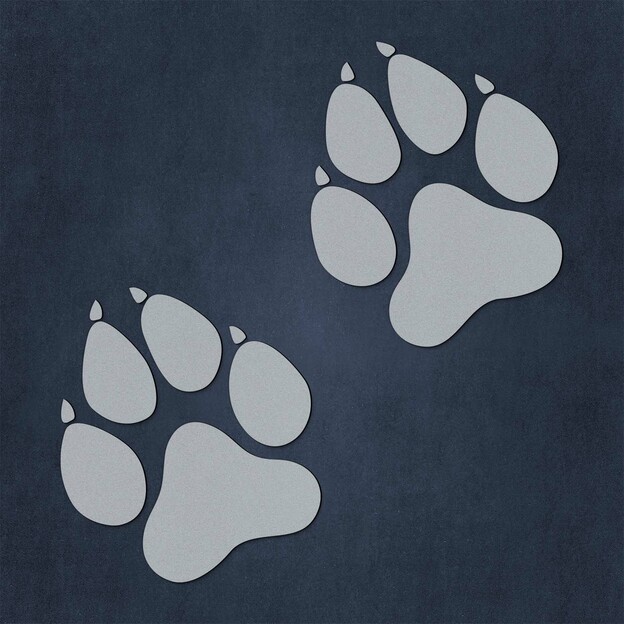 Wooden Stickers - Wolf Tracks