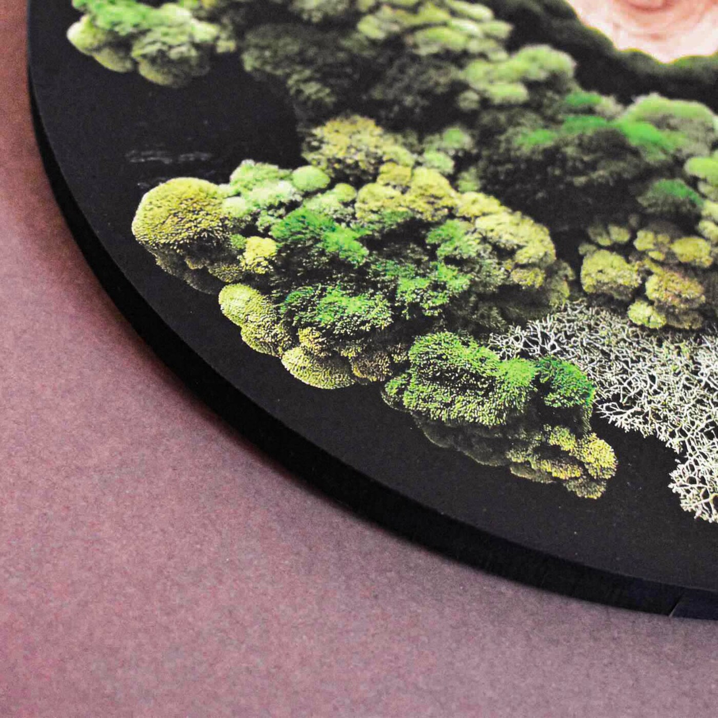 Round Moss Wall Art - Rin no Mori