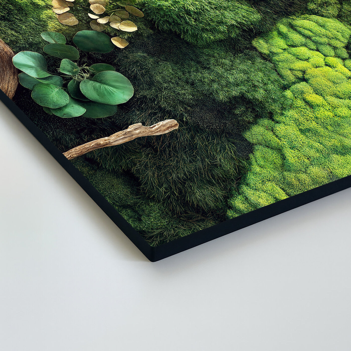 Green Wall Art - Oasis of Moss