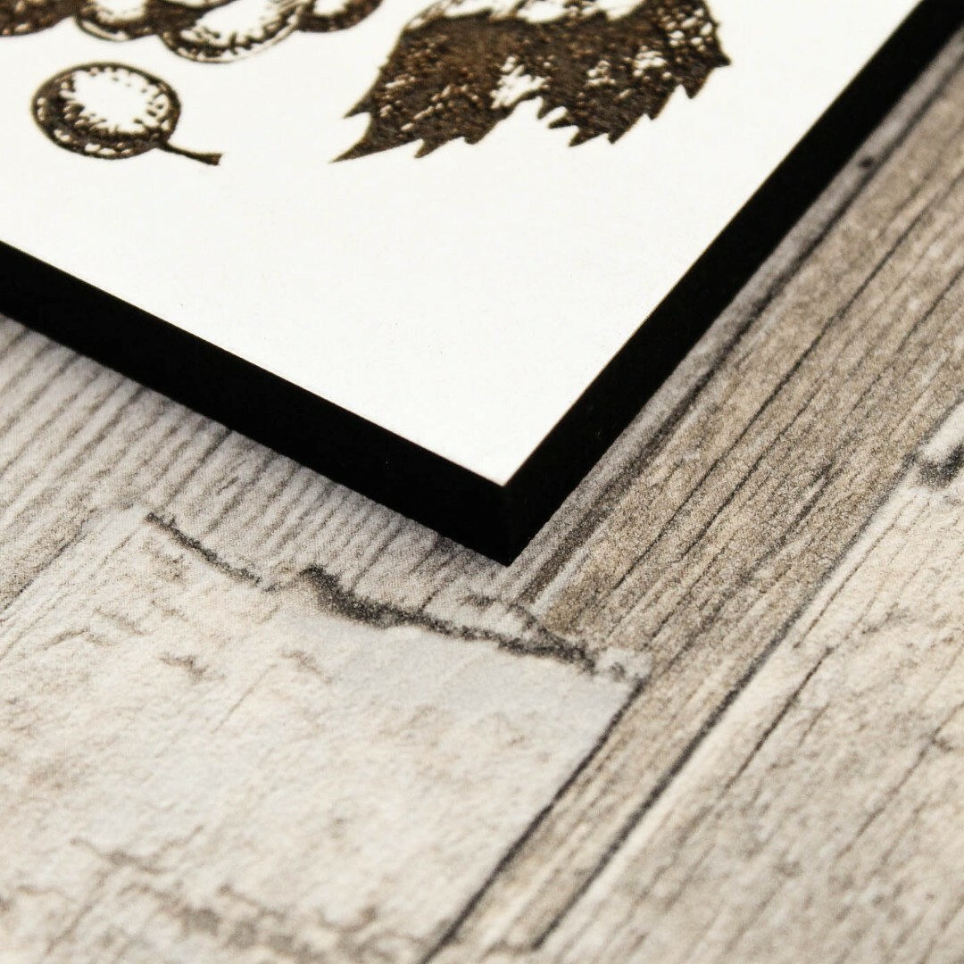 3D Engraved Picture - Wine | White