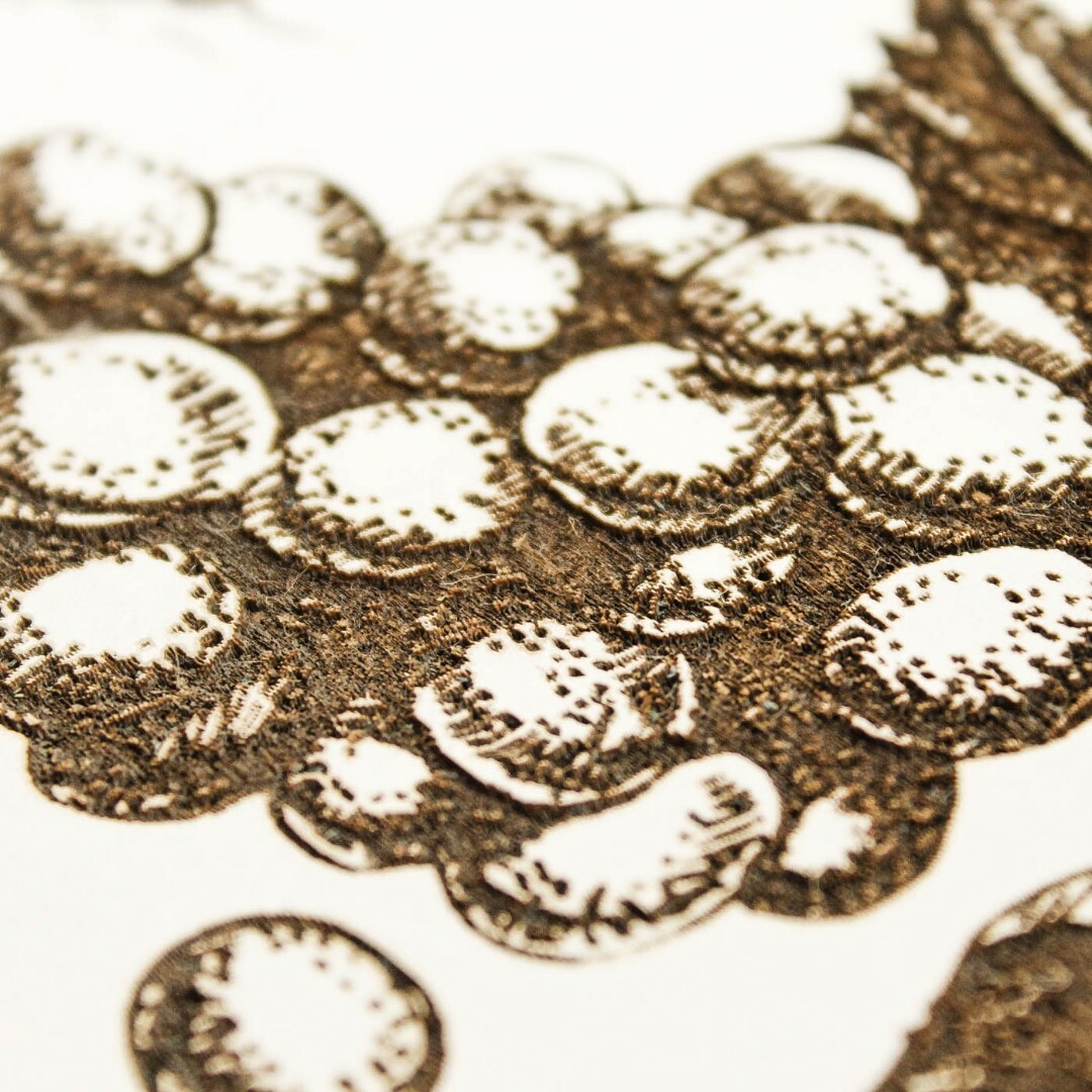 3D Engraved Picture - Wine | White