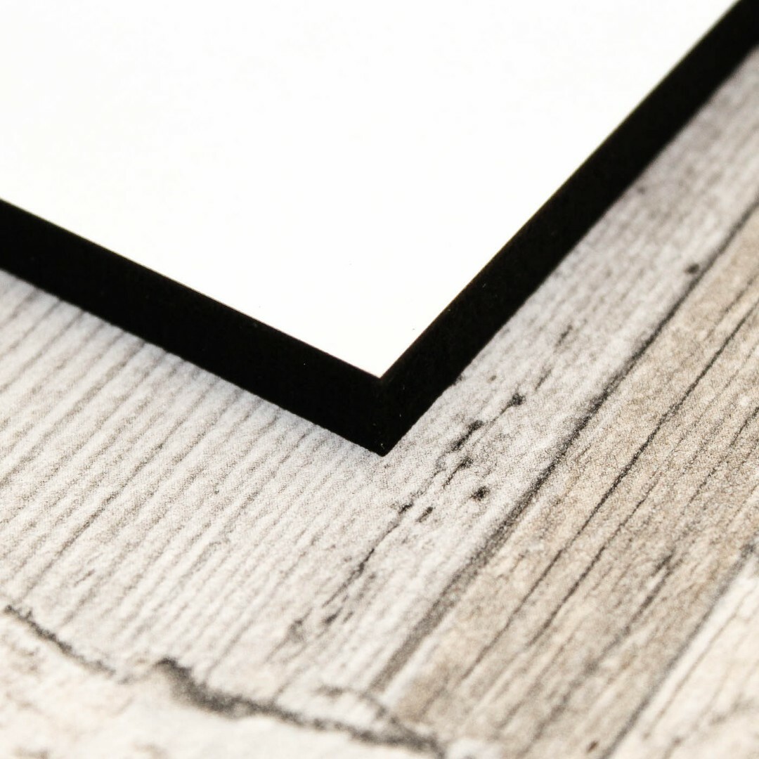 3D gravírozott falikép - Párduc | Fehér