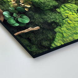 Green Wall Art - Oasis of Moss