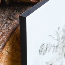 Nice Picture Above the Sofa - Flowers