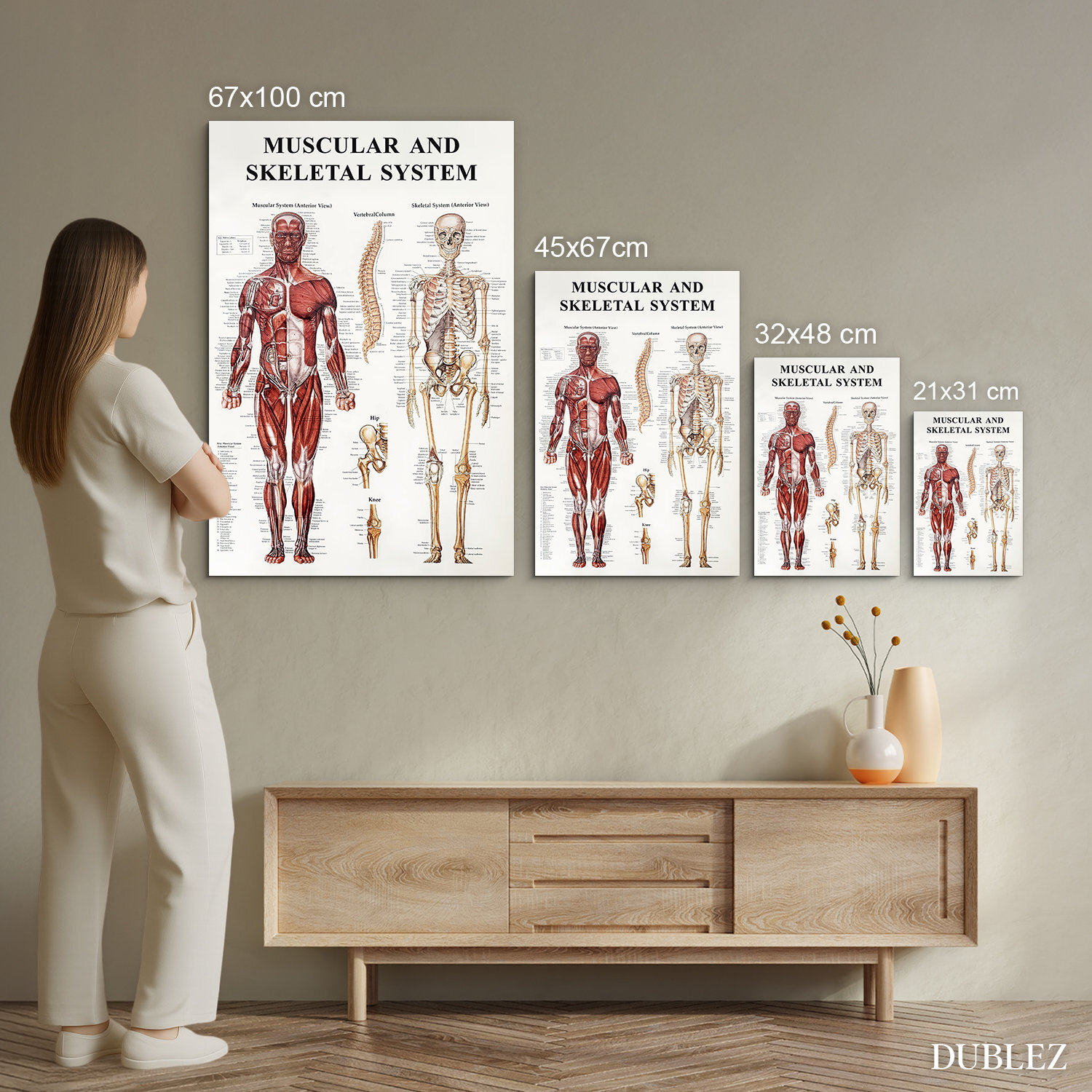 Drevený obraz - Anatomický kostrovo-svalový systém