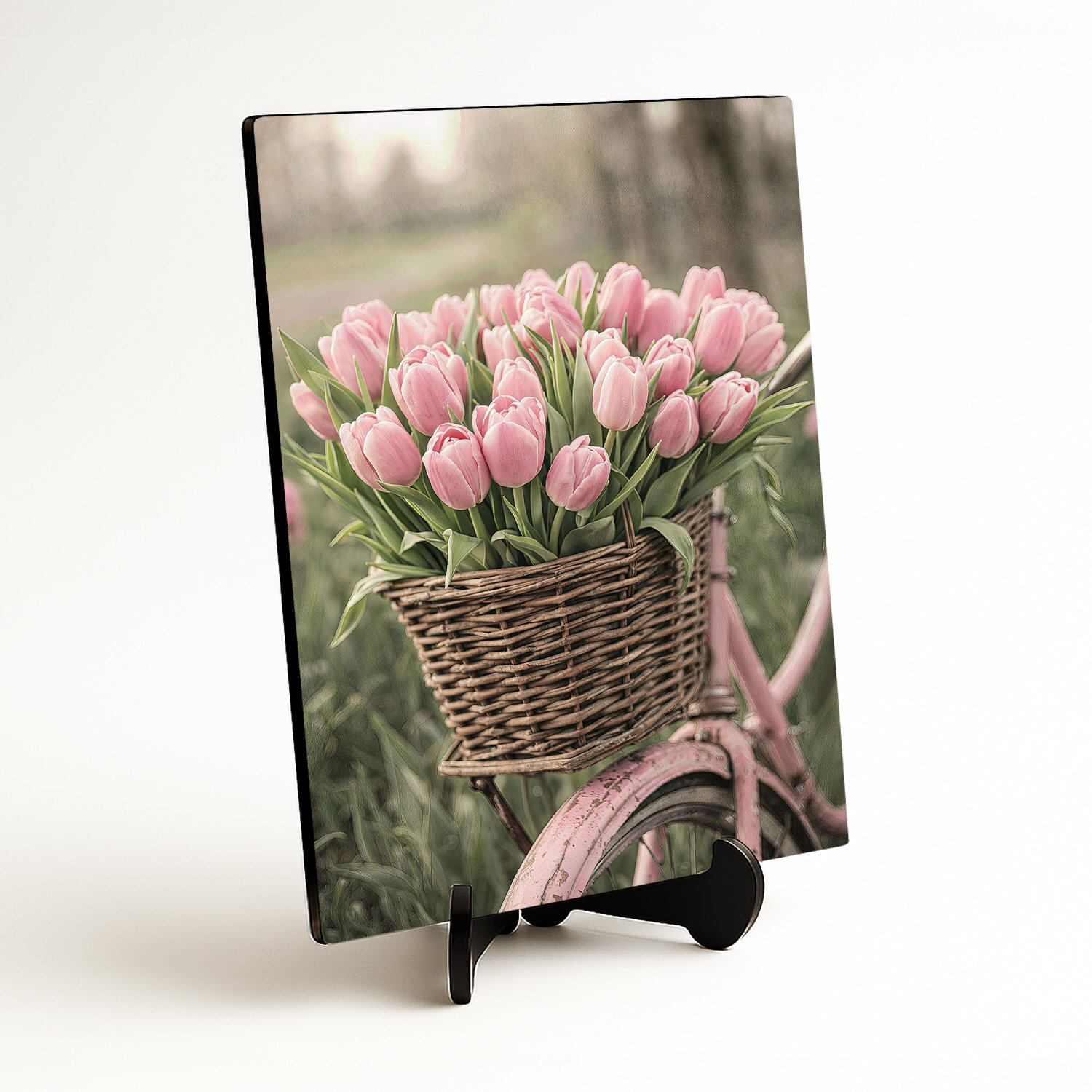 Drevený obraz na stenu - Tulipány na bicykli