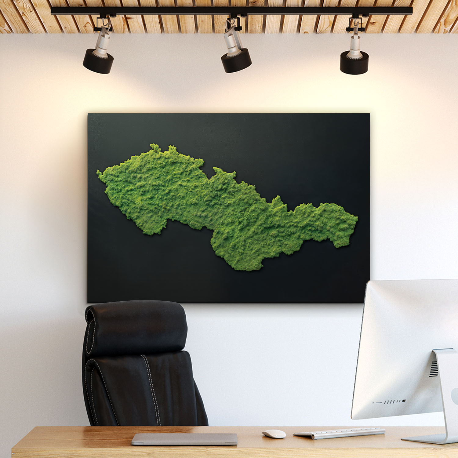 Obraz - Mapa Československa s efektom machu