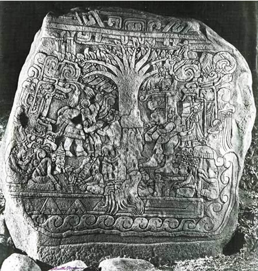 Copacul vieții Maya Yaxche sculptat în piatră