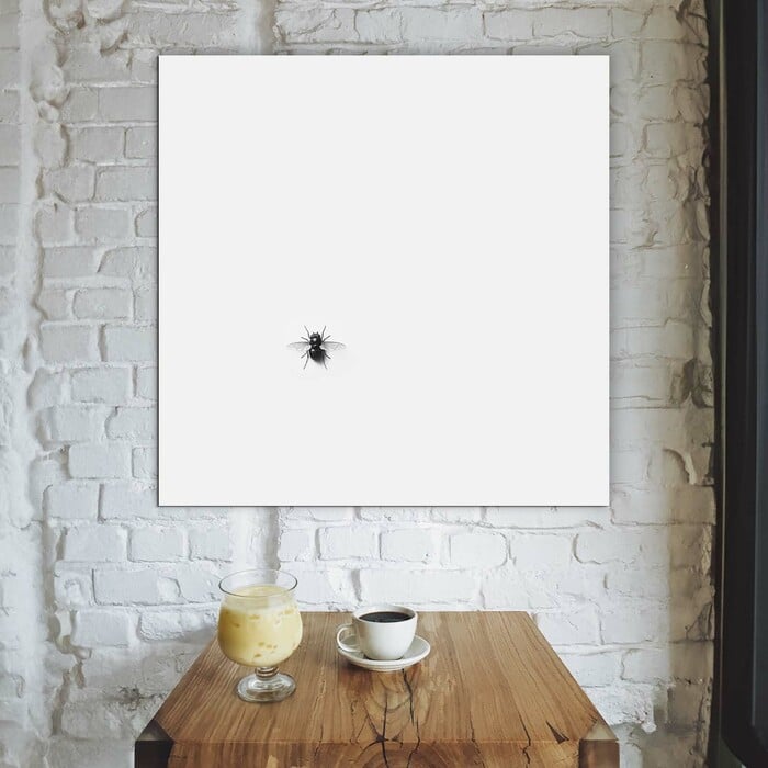 Funny Wooden Wall Art - Fly