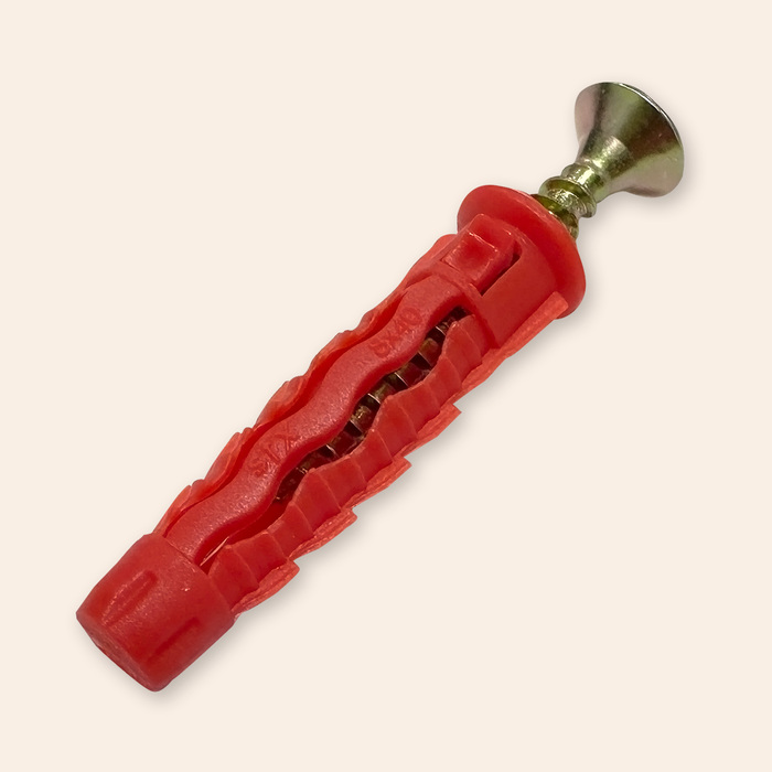 Plug with a screw