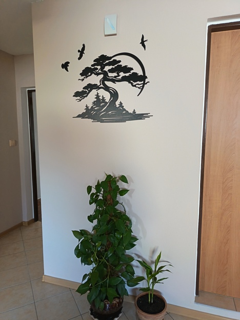 Pavlína  Navrátilová 