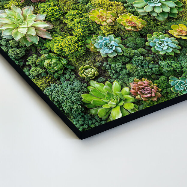 Tablou din lemn - Plante suculente și mușchi