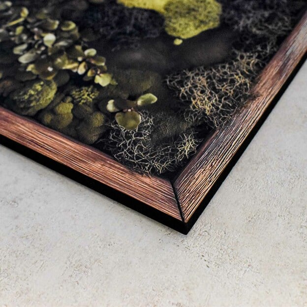 Moss-Style World Map - Wall Art