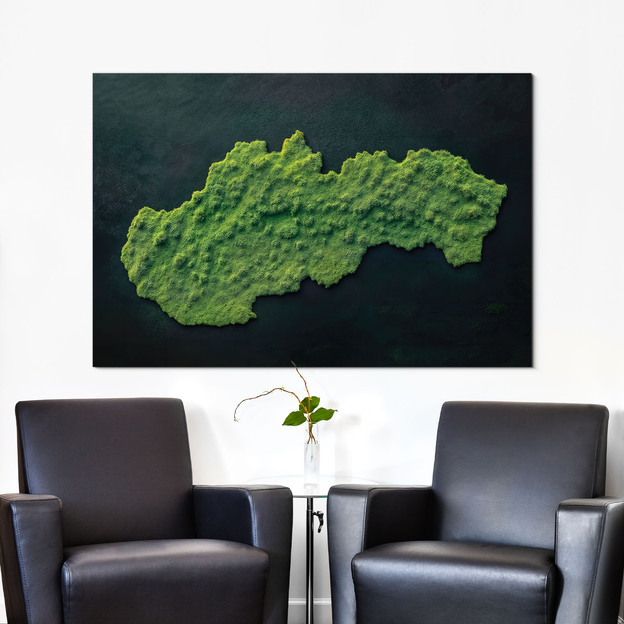 Machový obraz na stenu - Mapa Slovenska (UV tlač)