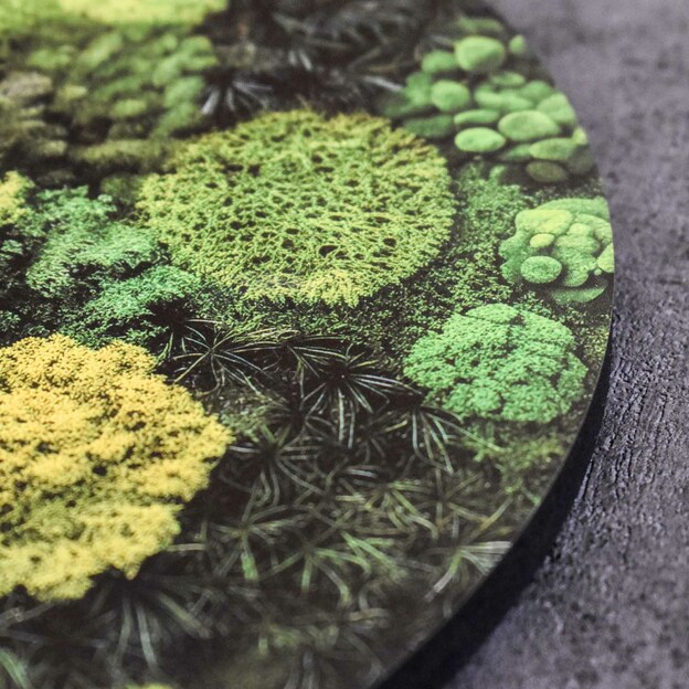 Wooden Wall Art - Mosses