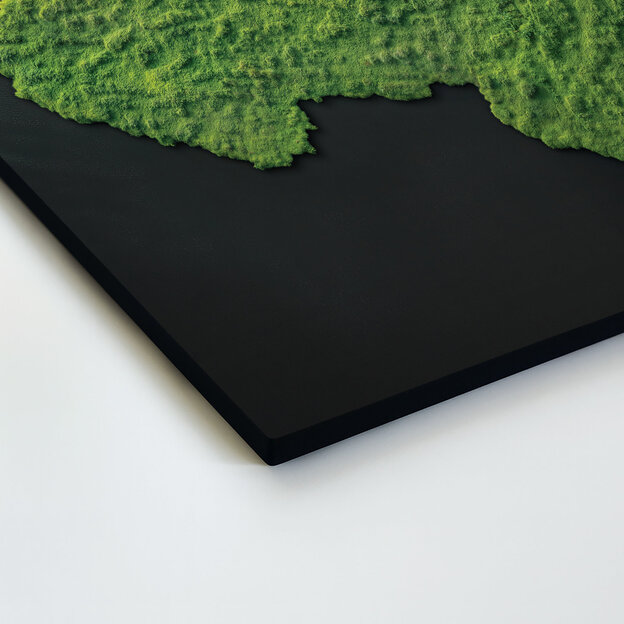 Image - Map of Czechoslovakia with a moss effect