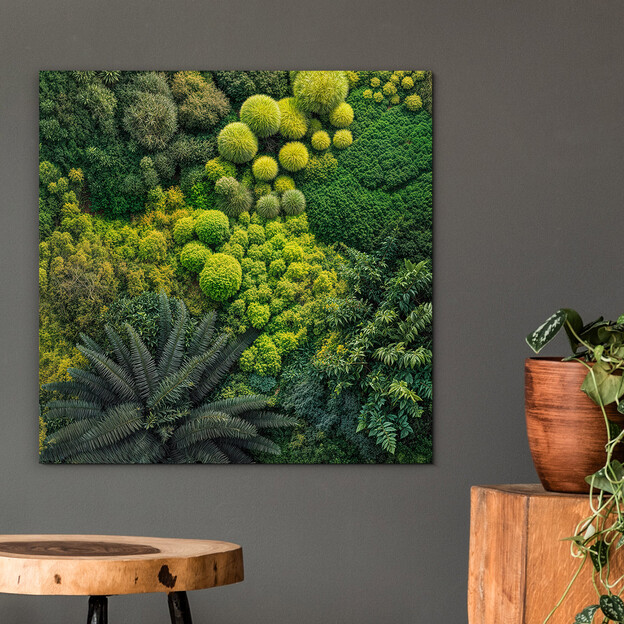 Decorative moss picture - Breath