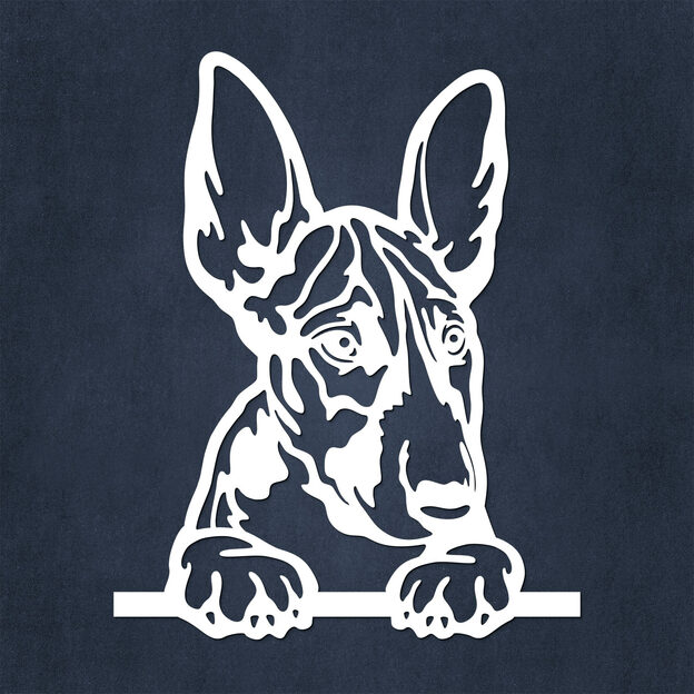 Wooden Wall Art - Bull Terrier Puppy