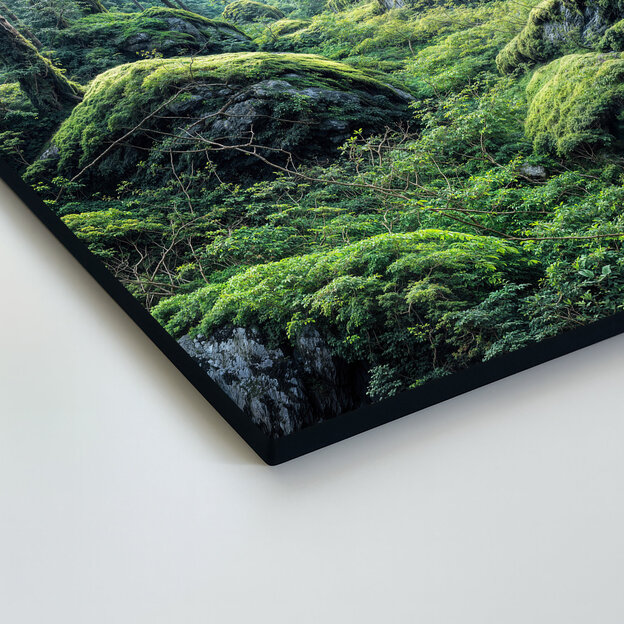 Wooden picture - Deep forest