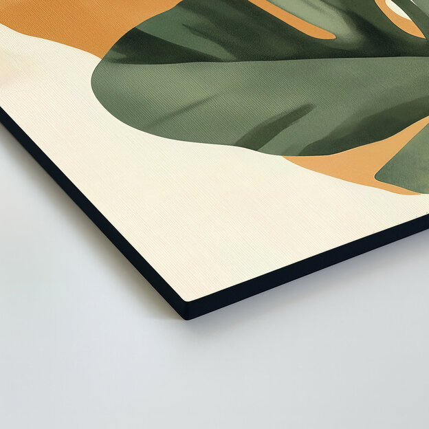 Botanical image - Leaf of monstera