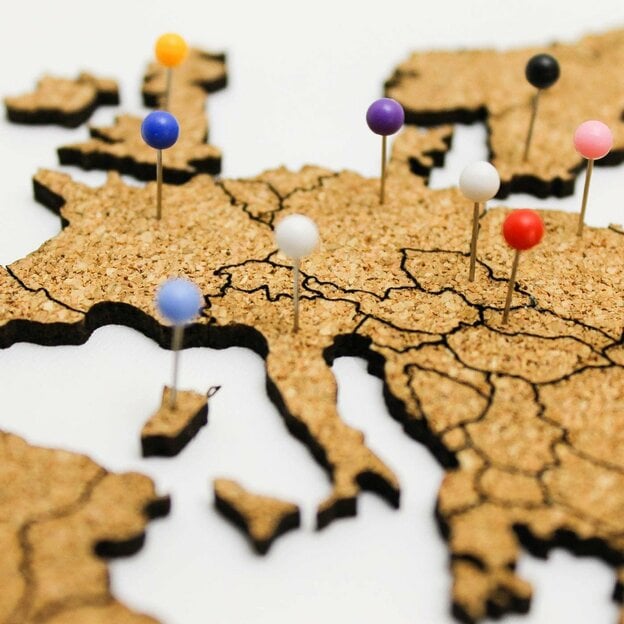 Cork World Map with Borders on the Wall