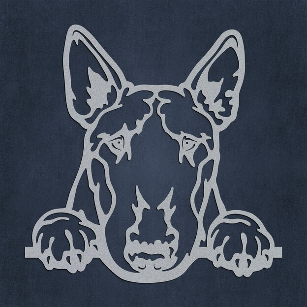 Wall Art - English Bull Terrier