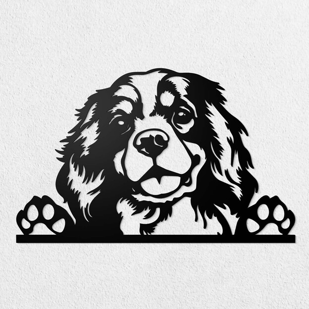 Faragott kép - Cavalier King Charles spániel