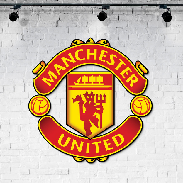 Színes fa kép - Manchester United