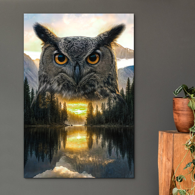 Image of an owl - Guardian of the forest