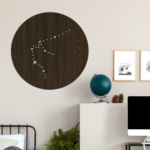 Wooden Sign on the Wall - Constellation Aquarius