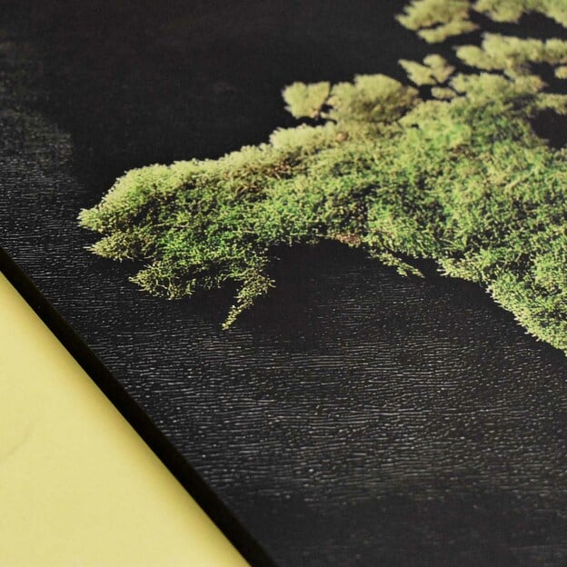 Wooden Wall Art - Moss World Map