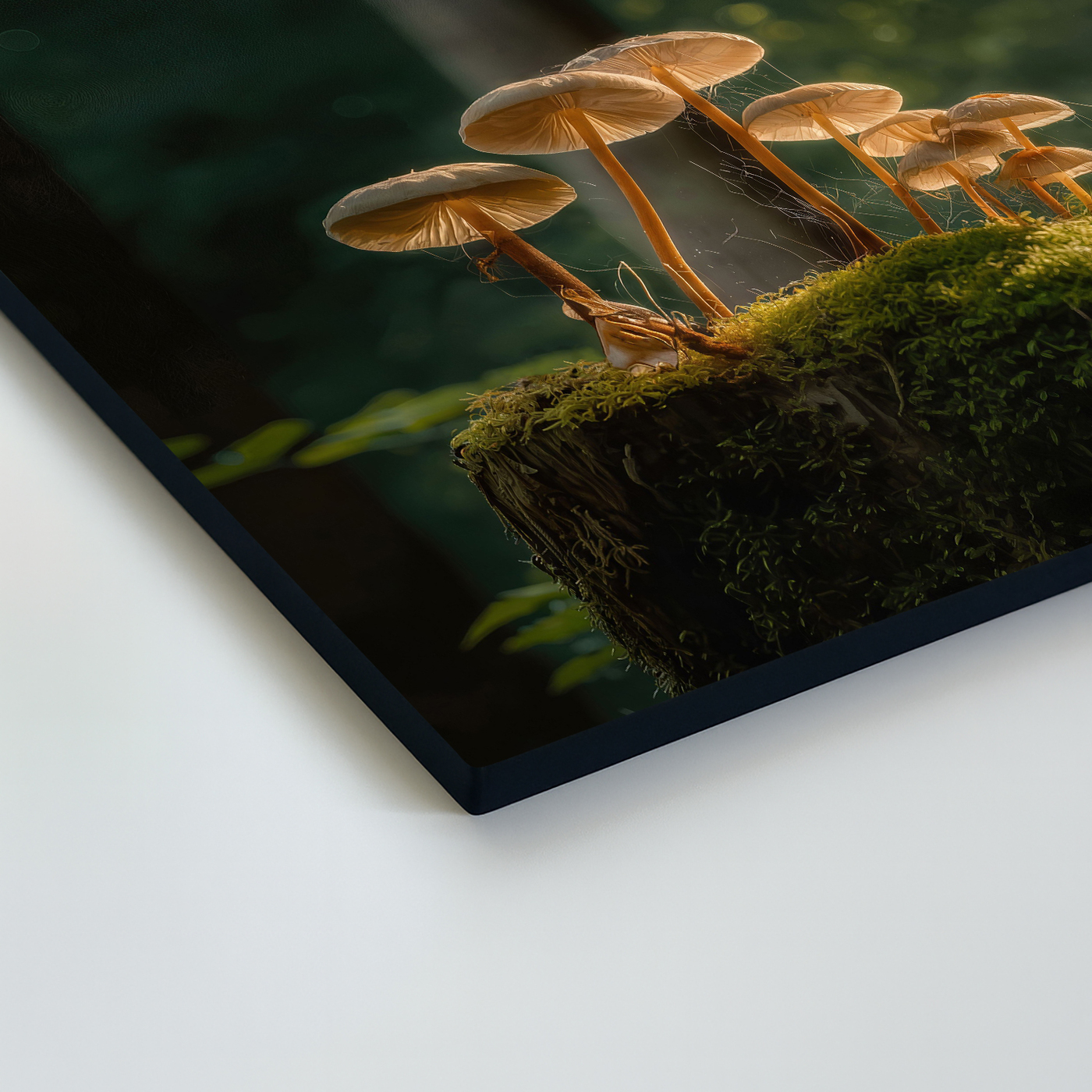 Wooden picture - Forest mushrooms