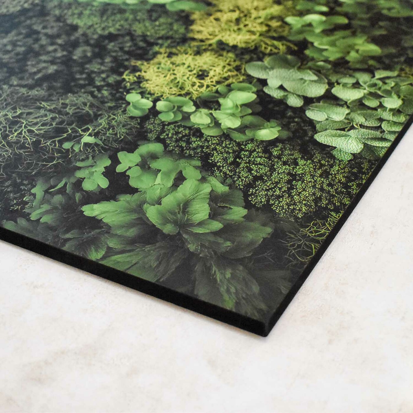 Printed Moss Wall Art