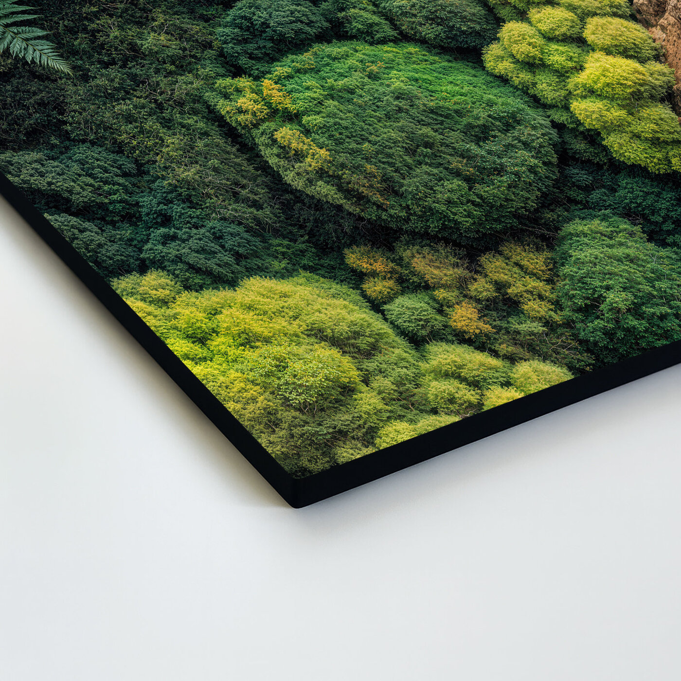 Mechový obraz na zeď (UV tisk)