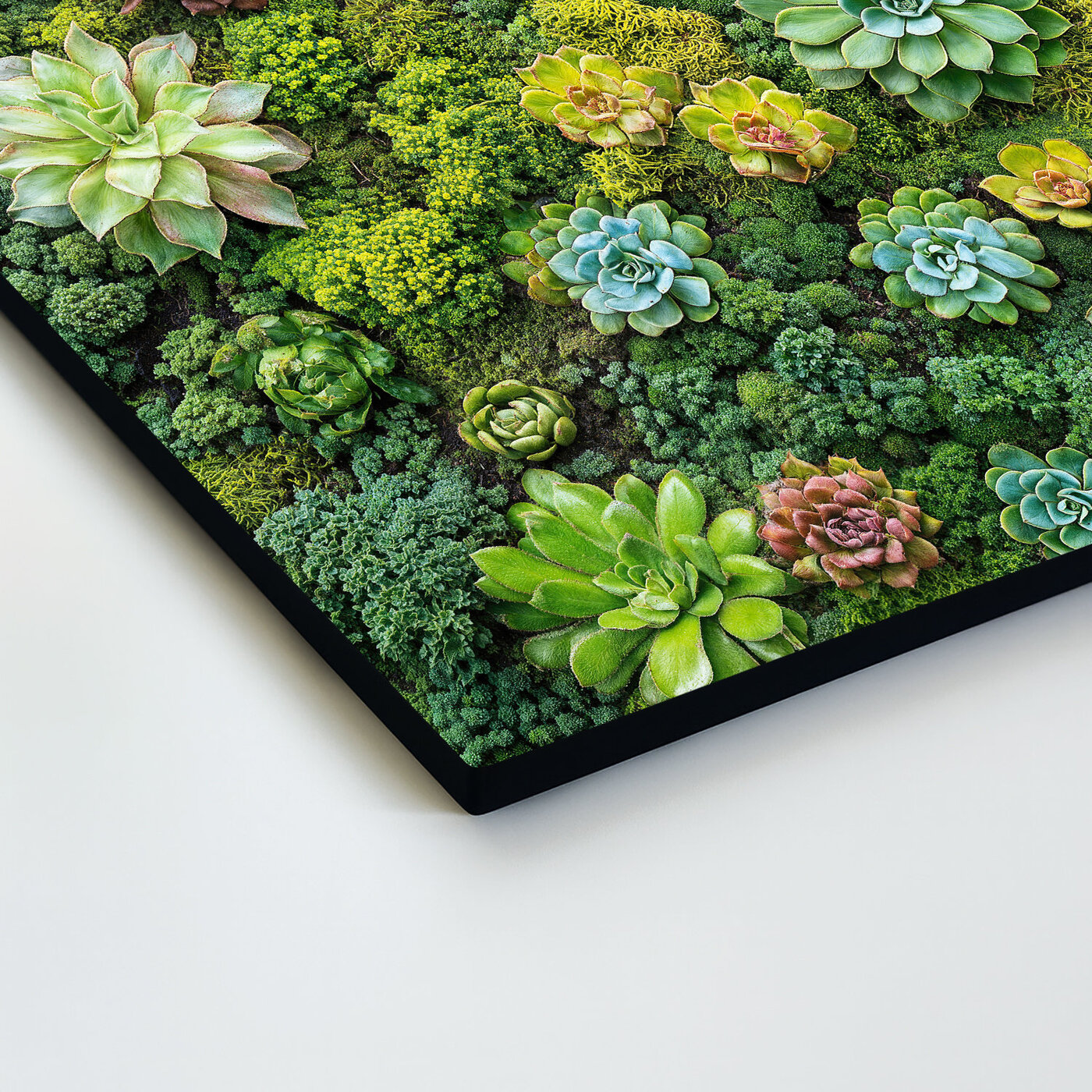 Drevený obraz skalničiek