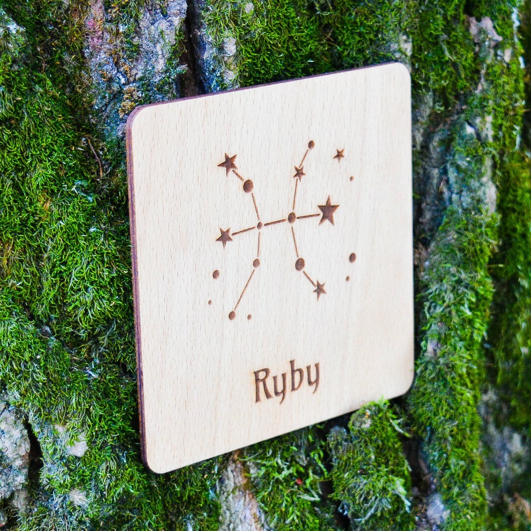 Darček pre kamaráta - Podložka pod pohár znamenie Ryby