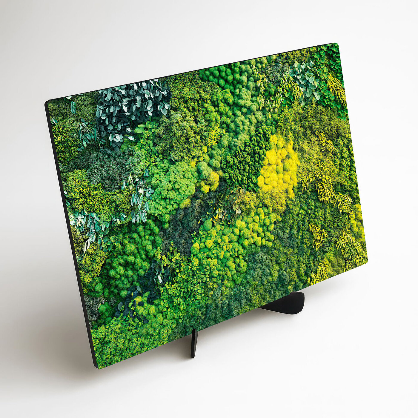 Imitácia machového obrazu z dreva - Čaro lesa