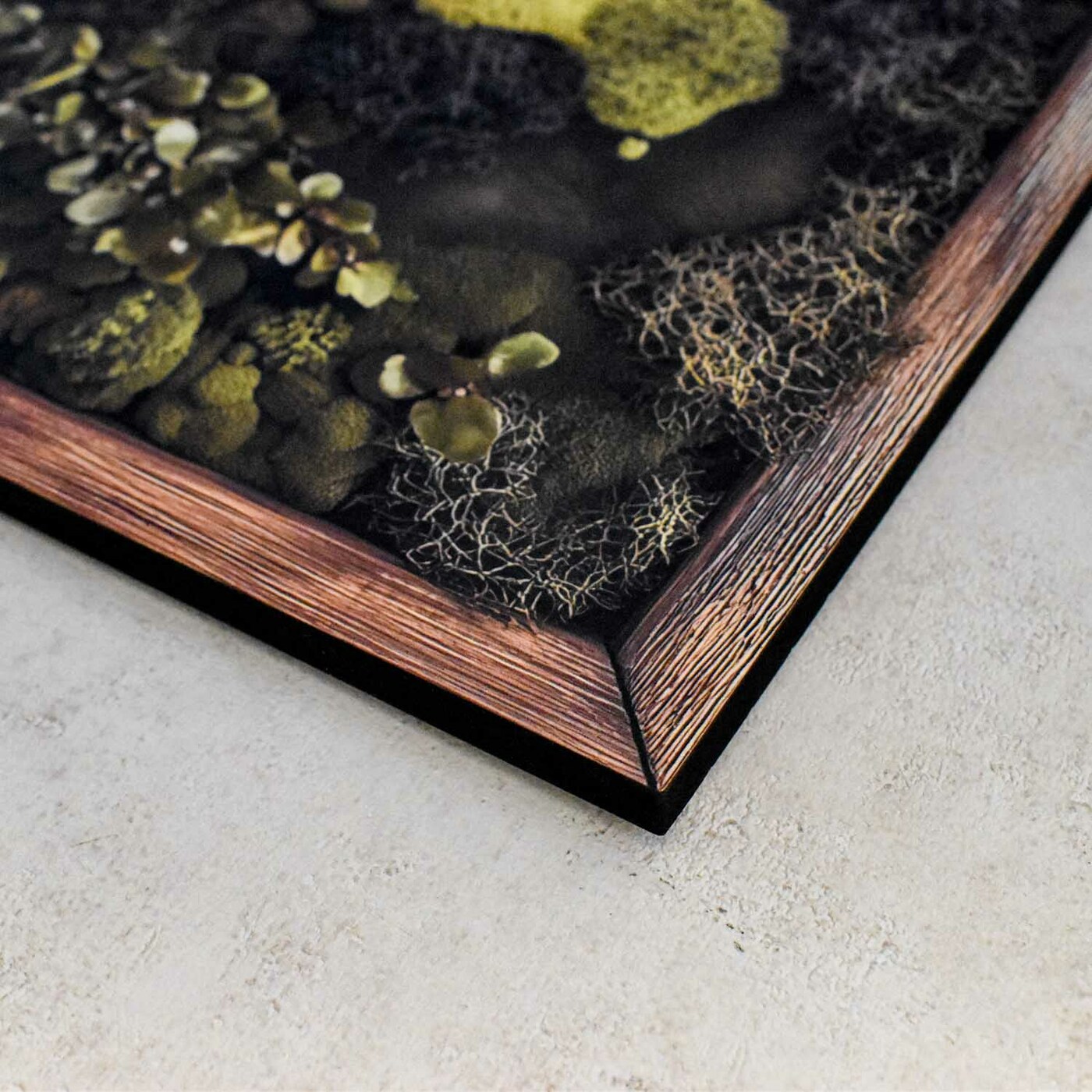 Machová imitácia mapy sveta - Obraz