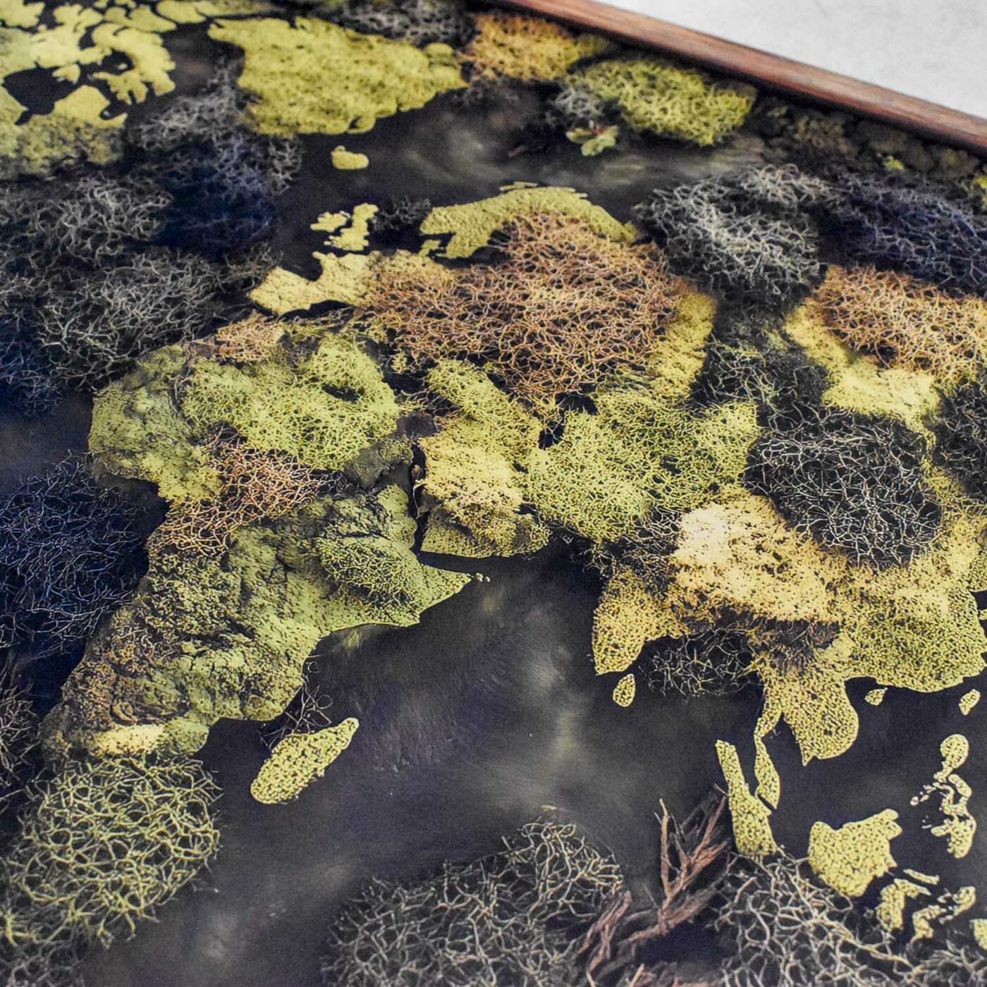 Machová imitácia mapy sveta - Obraz