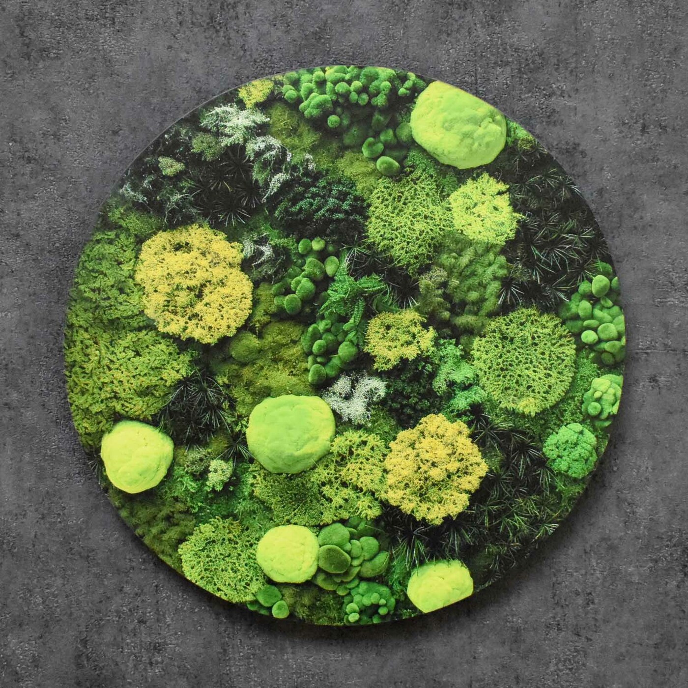 Wooden Wall Art - Mosses