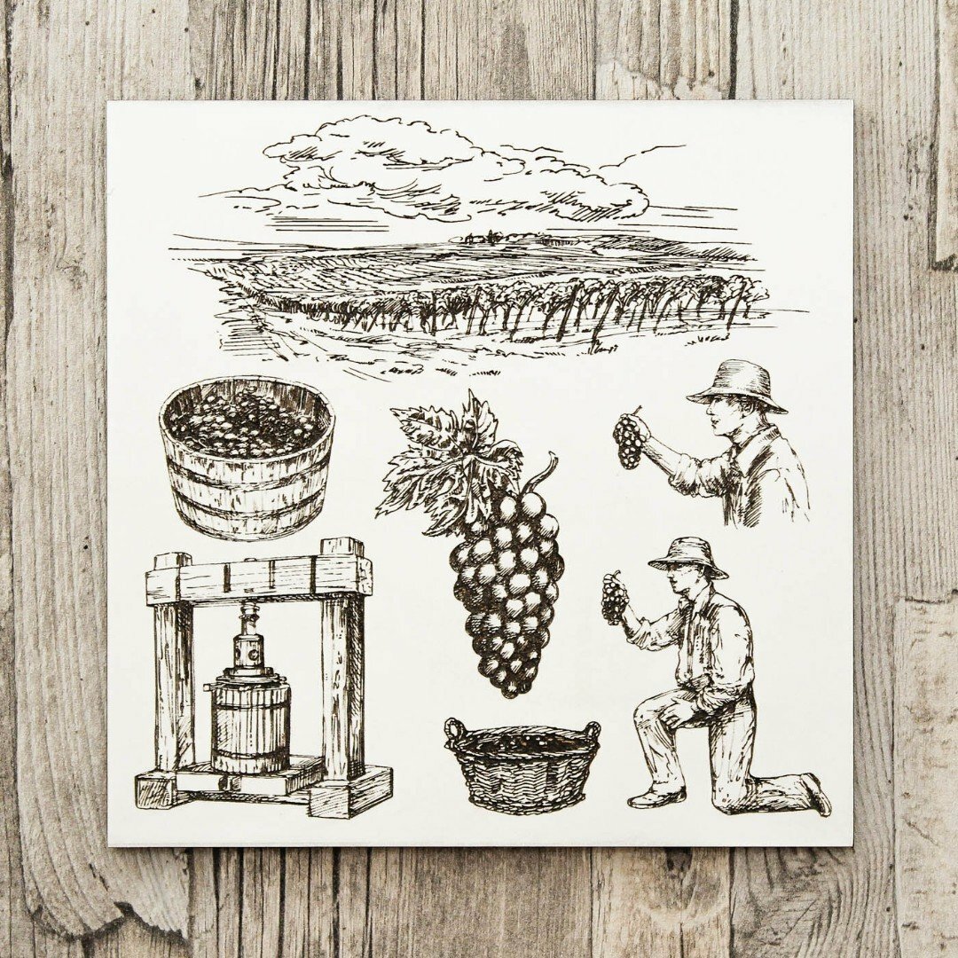 3D Engraved Picture - Vineyard | White