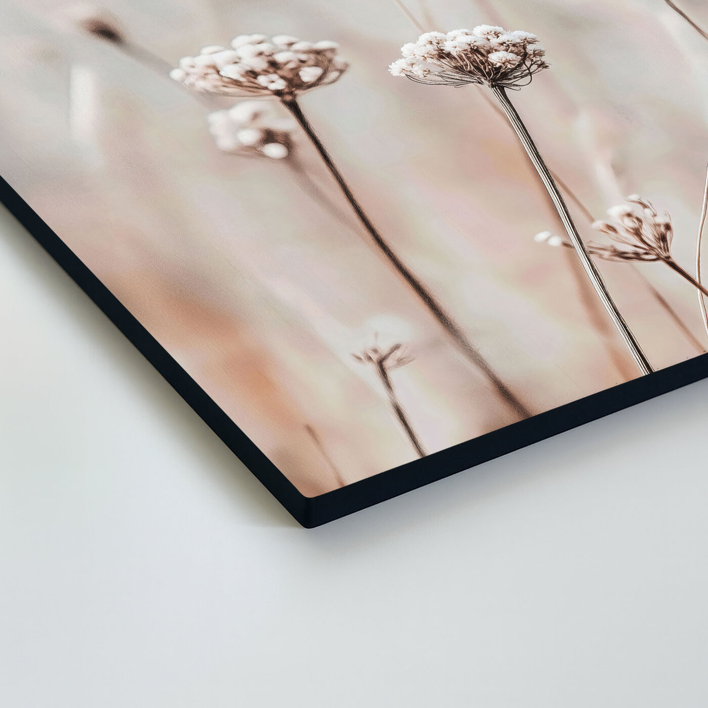 Minimalistický obraz kvetov - Krehké steblá