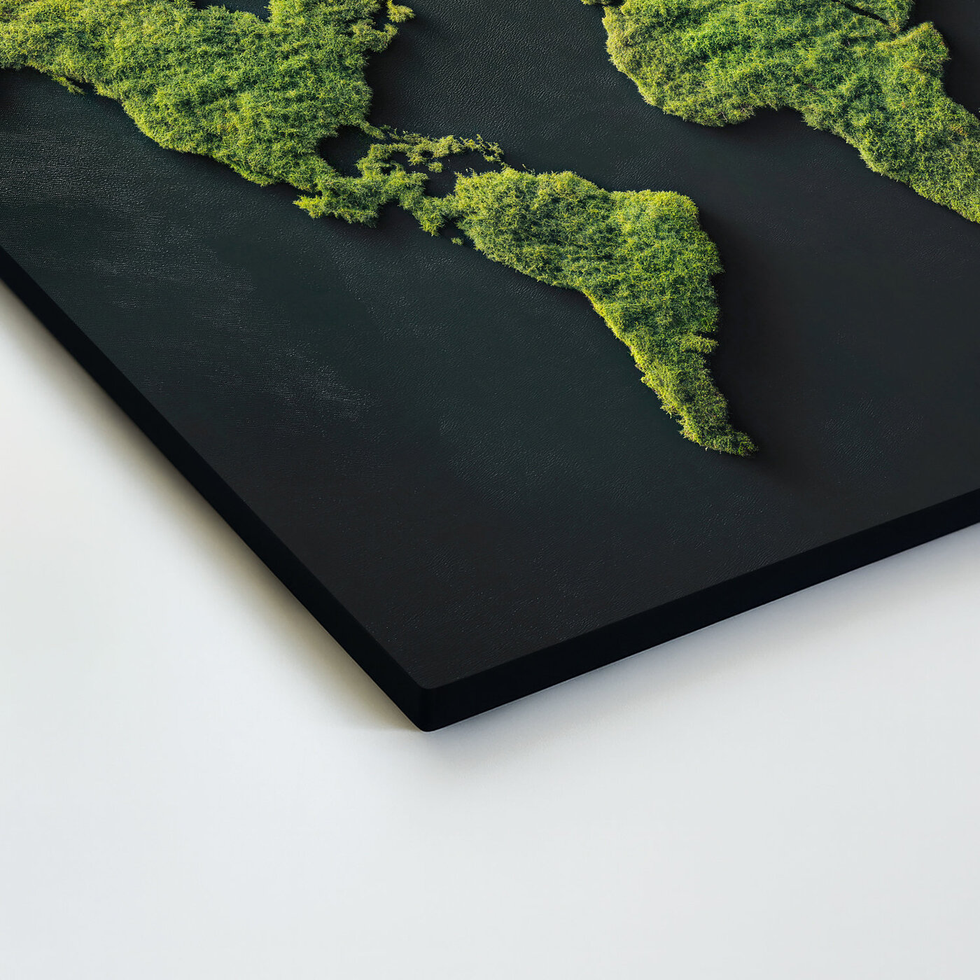 Drevený obraz - Machová mapa sveta