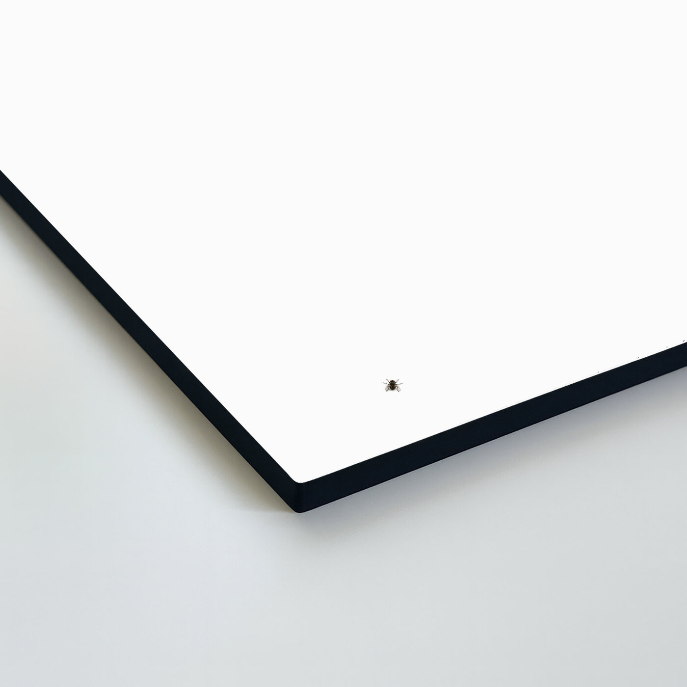 Tablou haios din lemn - Muscă