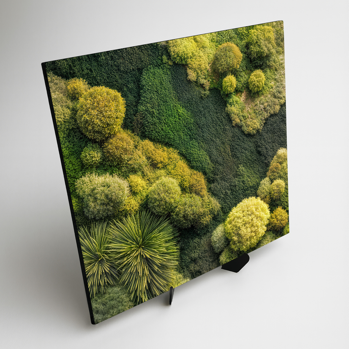 Mechový obraz - Zelená oáza (imitace)