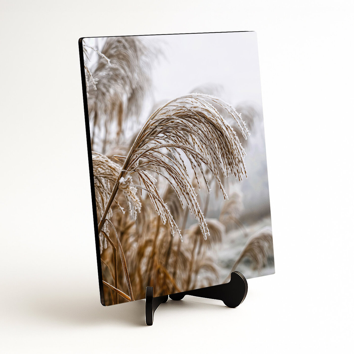 Dřevěný obraz na zeď - Stébla v zimě