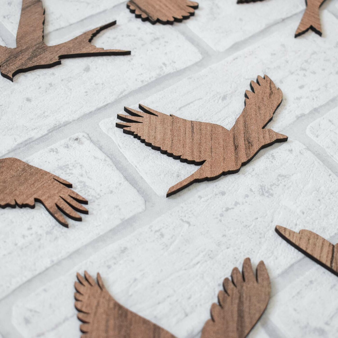 Madár dekorációk - 6 db falmatrica | Dohány Tölgy