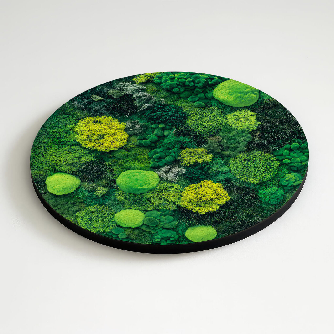 Wooden Wall Art - Mosses